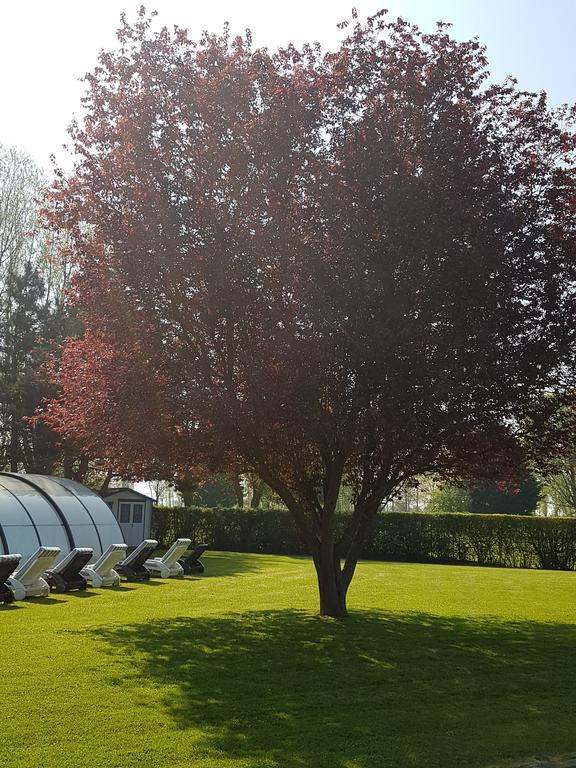 Hotel Du Golf 2*
